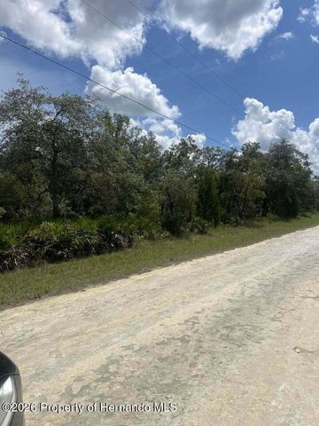 0000 Parrot Road, Weeki Wachee, FL 34614