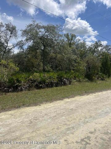 0000 Parrot Road, Weeki Wachee, FL 34614