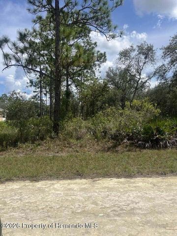 0000 Parrot Road, Weeki Wachee, FL 34614