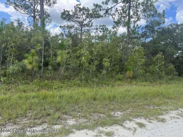0000 Parrot Road, Weeki Wachee, FL 34614