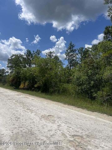 0000 Parrot Road, Weeki Wachee, FL 34614