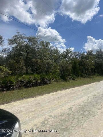 0000 Parrot Road, Weeki Wachee, FL 34614