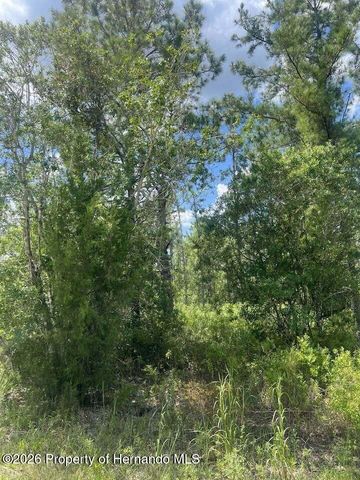 0000 Parrot Road, Weeki Wachee, FL 34614