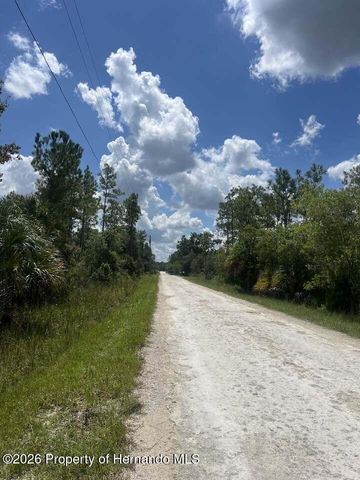 0000 Parrot Road, Weeki Wachee, FL 34614
