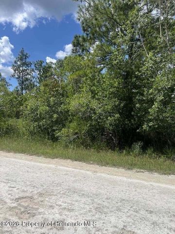 0000 Parrot Road, Weeki Wachee, FL 34614