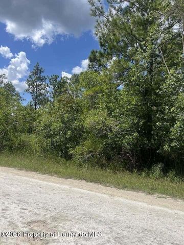 0000 Parrot Road, Weeki Wachee, FL 34614