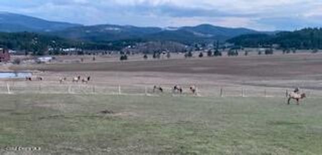 571 Johns Creek Rd., Emida, ID 83861