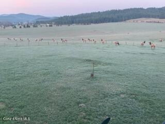 571 Johns Creek Rd., Emida, ID 83861