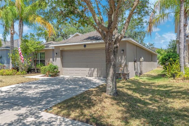 10510 SUMMER AZURE DRIVE, Riverview, FL 33578