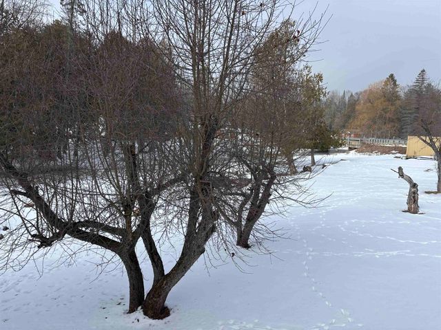 4921 Carpenter Road, Grant Twp, MI 48763