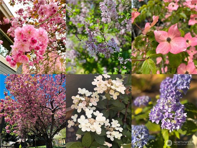 1609 217th Place NE, Sammamish, WA 98074