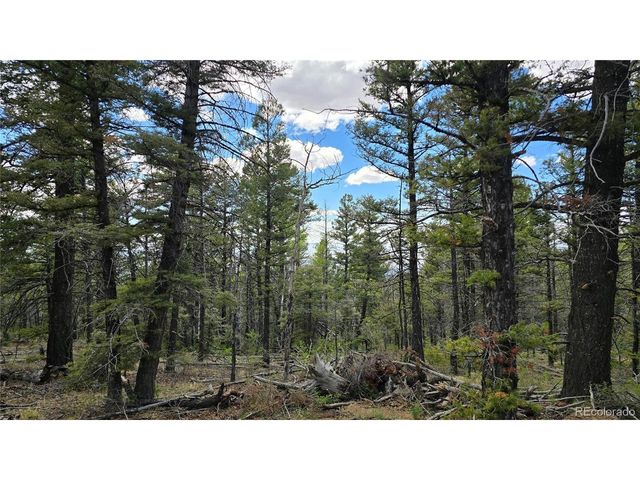 5825 Covington Rd, Fort Garland, CO 81133