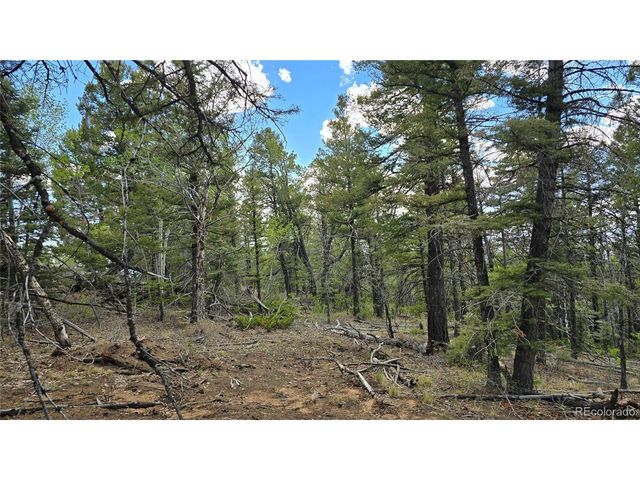 5825 Covington Rd, Fort Garland, CO 81133