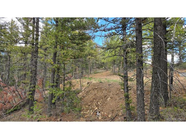 5825 Covington Rd, Fort Garland, CO 81133