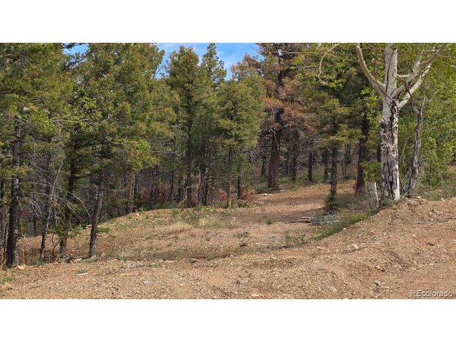 5825 Covington Rd, Fort Garland, CO 81133