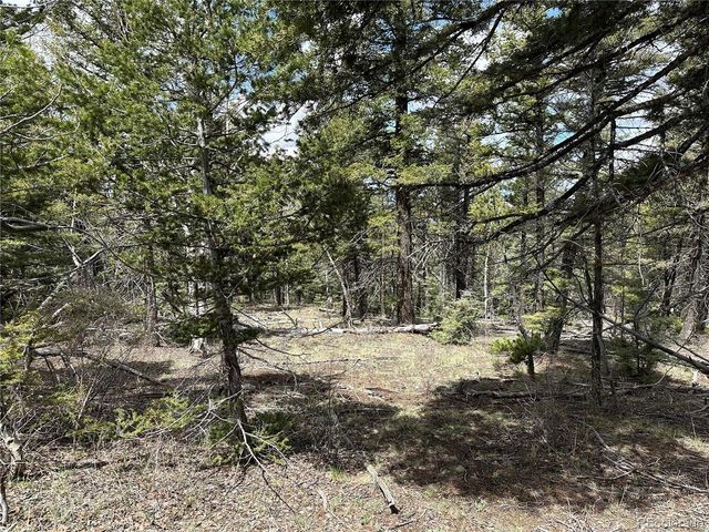 5825 Covington Rd, Fort Garland, CO 81133