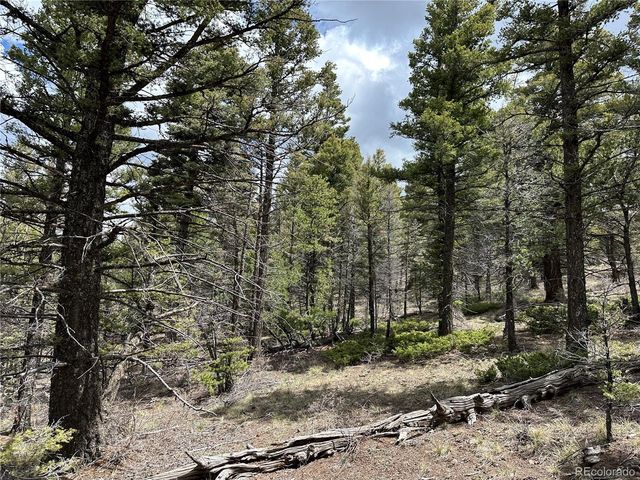 5825 Covington Rd, Fort Garland, CO 81133