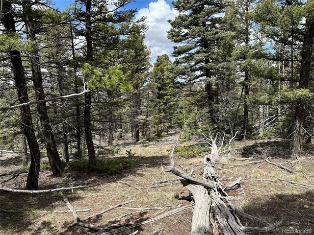 5825 Covington Rd, Fort Garland, CO 81133