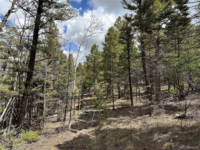 5825 Covington Rd, Fort Garland, CO 81133