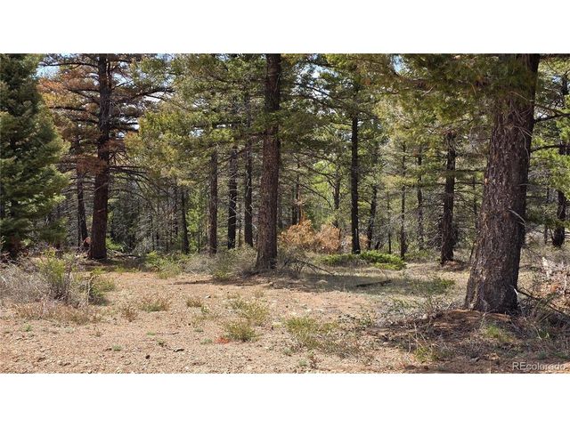 5825 Covington Rd, Fort Garland, CO 81133