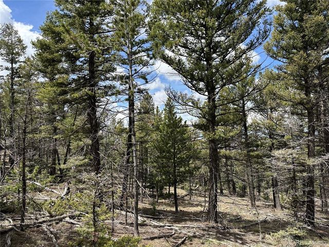 5825 Covington Rd, Fort Garland, CO 81133