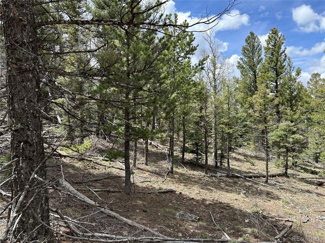 5825 Covington Rd, Fort Garland, CO 81133