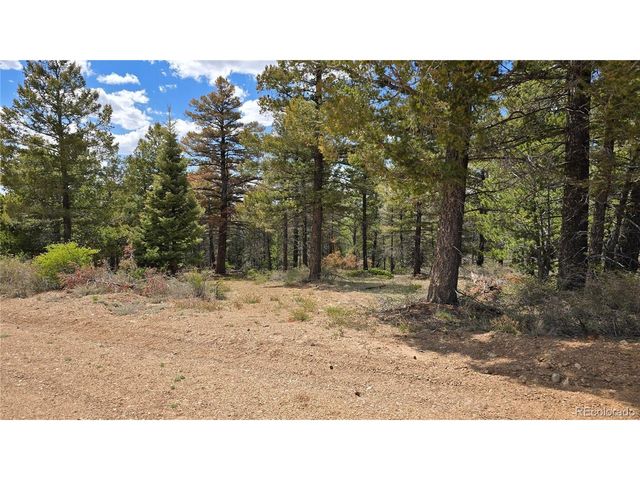 5825 Covington Rd, Fort Garland, CO 81133