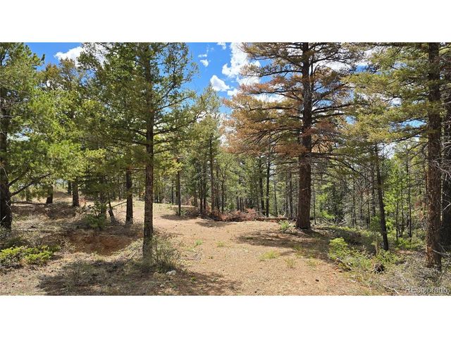 5825 Covington Rd, Fort Garland, CO 81133