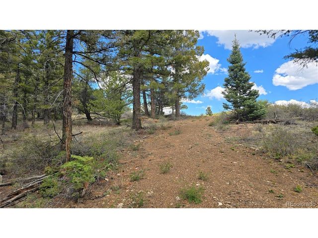 5825 Covington Rd, Fort Garland, CO 81133