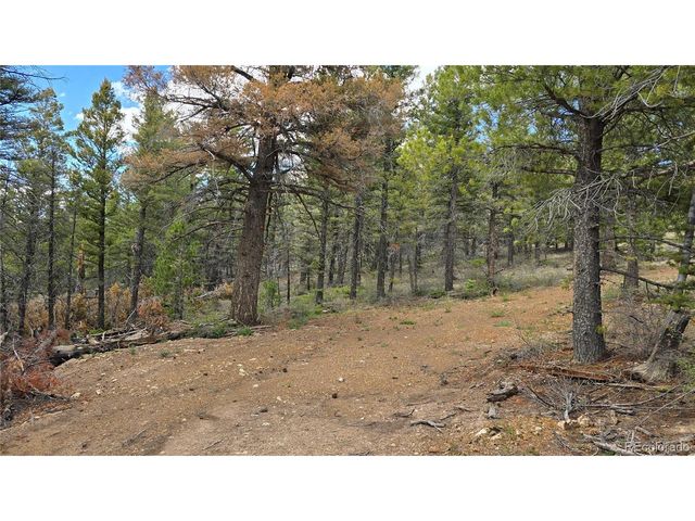 5825 Covington Rd, Fort Garland, CO 81133