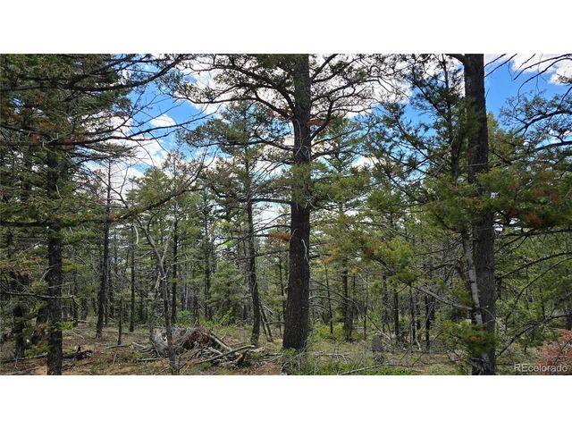 5825 Covington Rd, Fort Garland, CO 81133