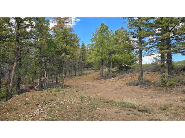 5825 Covington Rd, Fort Garland, CO 81133