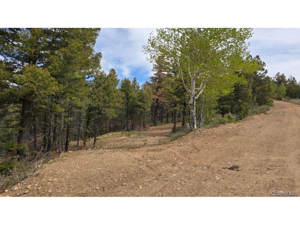 5825 Covington Rd, Fort Garland, CO 81133