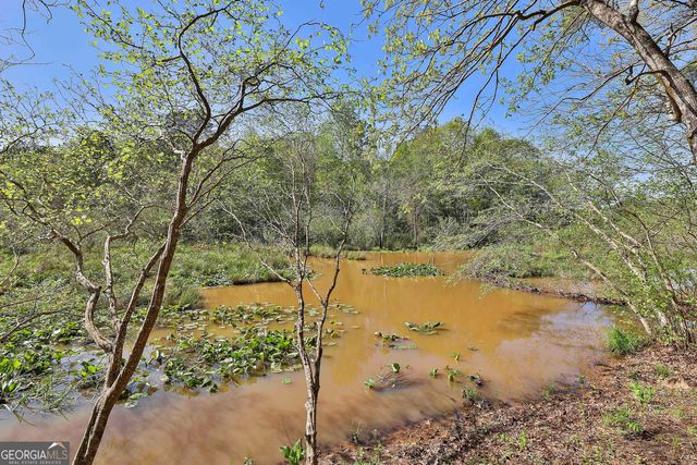 161 Hutchinson Lake Road, Senoia, GA 30276