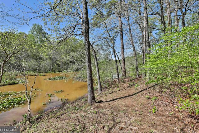 161 Hutchinson Lake Road, Senoia, GA 30276