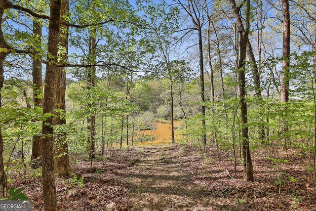 161 Hutchinson Lake Road, Senoia, GA 30276