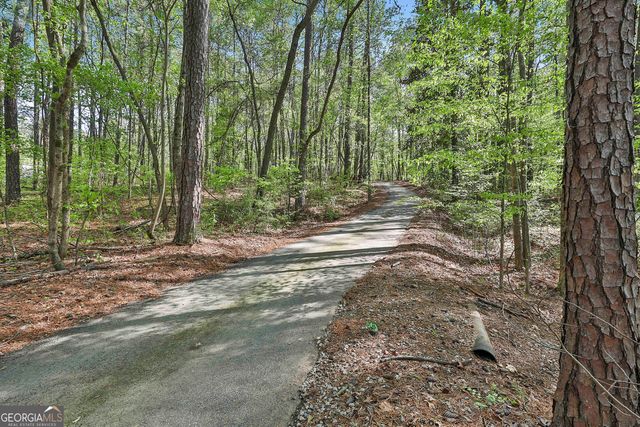 161 Hutchinson Lake Road, Senoia, GA 30276