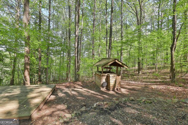 161 Hutchinson Lake Road, Senoia, GA 30276