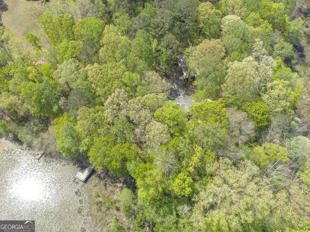 161 Hutchinson Lake Road, Senoia, GA 30276