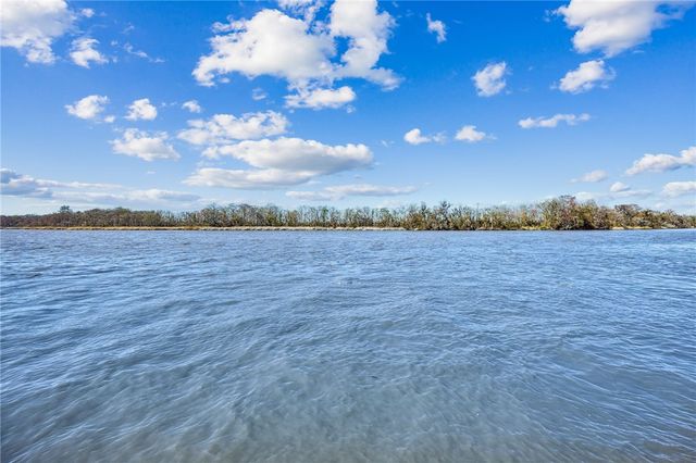 295 Incachee Court, Woodbine, GA 31569