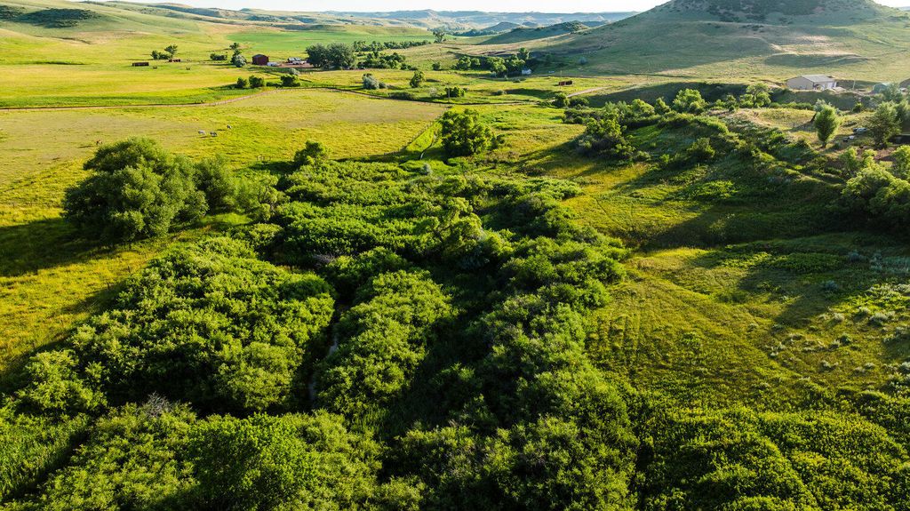 214 Meade Creek Road, Sheridan, WY 82801 photo 33