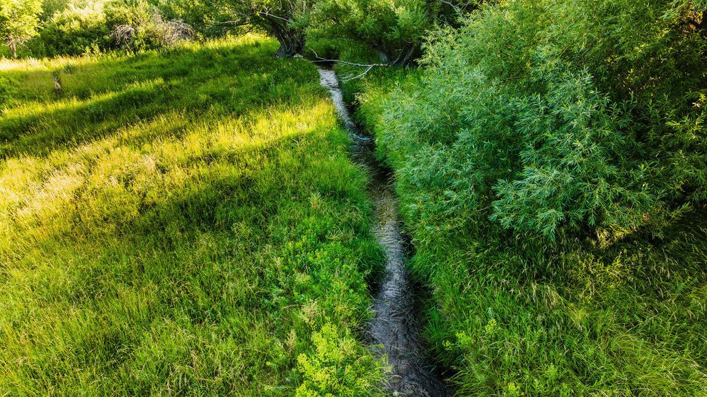 214 Meade Creek Road, Sheridan, WY 82801 photo 36