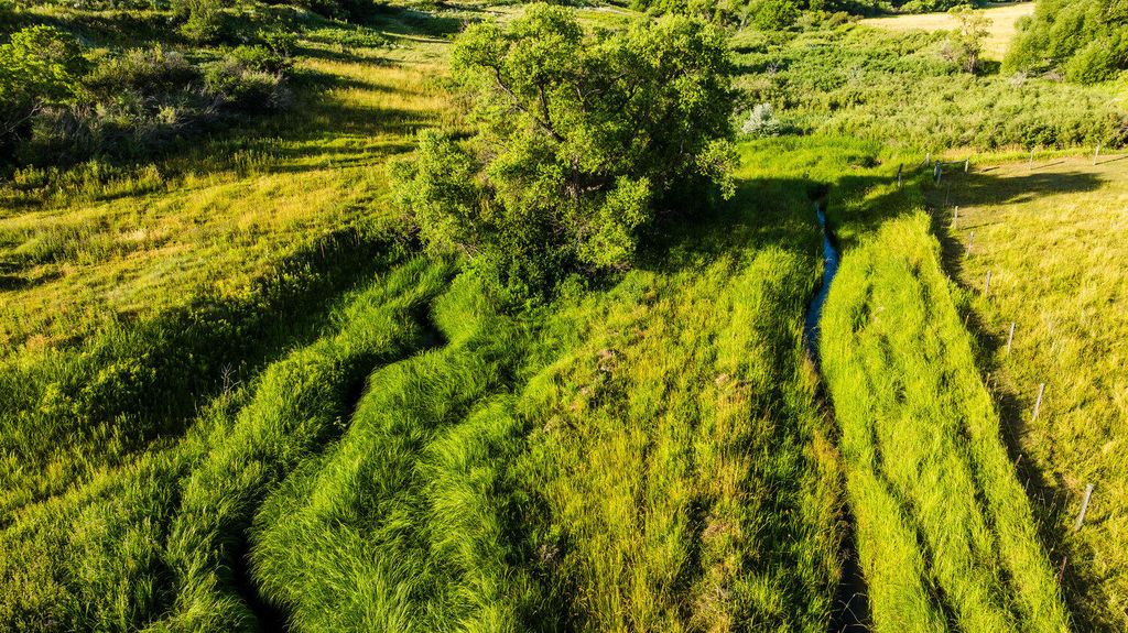 214 Meade Creek Road, Sheridan, WY 82801 photo 37