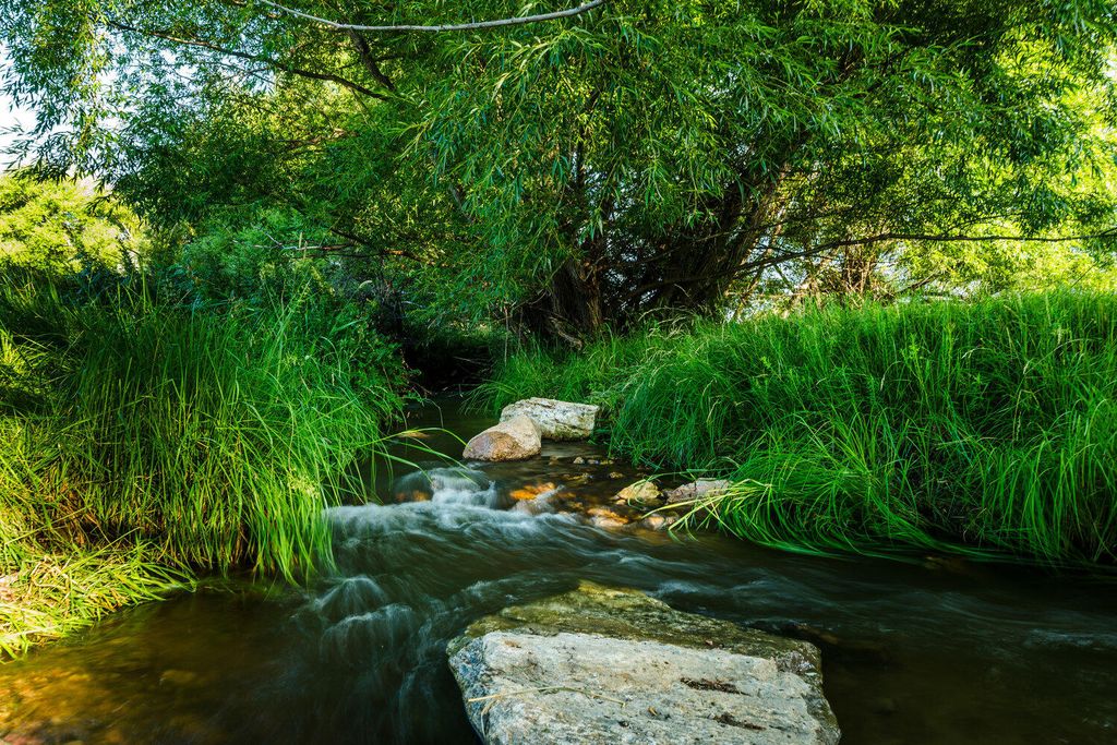 214 Meade Creek Road, Sheridan, WY 82801 photo 78