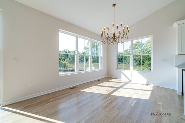 22137 W Casa Bella View, Kildeer, IL 60047