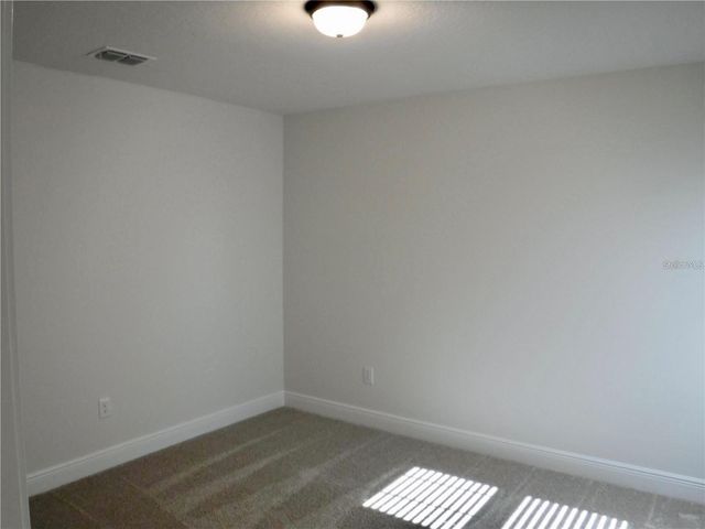 11634 CAMBIUM CROWN DRIVE, Riverview, FL 33569