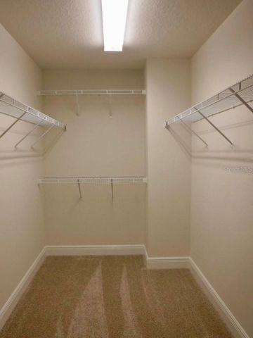 11634 CAMBIUM CROWN DRIVE, Riverview, FL 33569