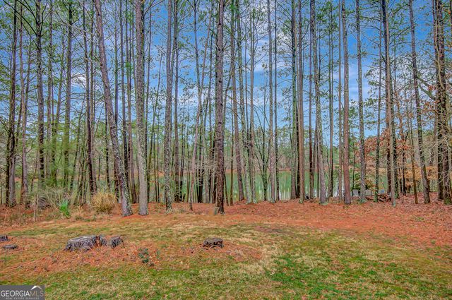 180 Bontura Drive, Senoia, GA 30276