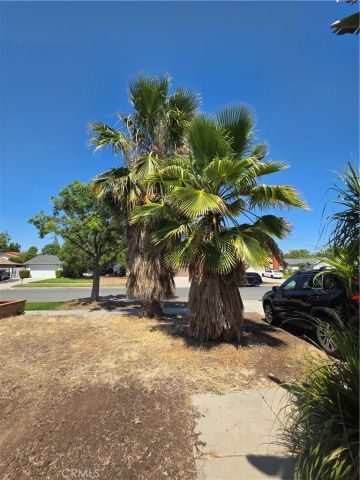 3262 Racine, Riverside, CA 92503