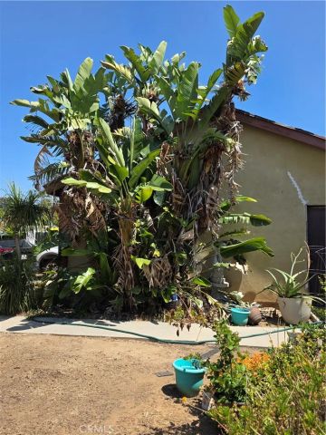 3262 Racine, Riverside, CA 92503
